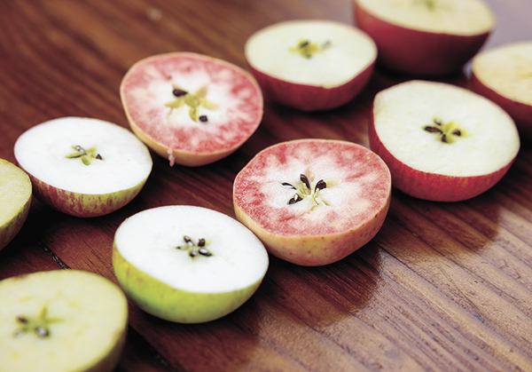 Heirloom apples come in different colors, inside and out, and flavor nuances. Photo: © 2025 Paige Green